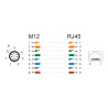 Delock M12 Adapter A-kodiert 8 Pin Stecker zu RJ45 Buchse gerade