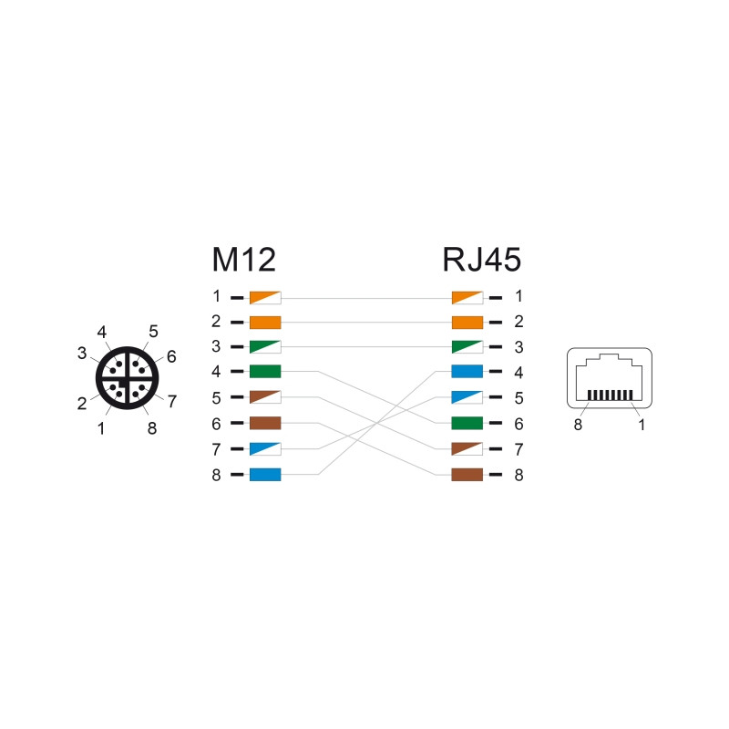 Delock M12 Adapter X-kodiert 8 Pin Stecker zu RJ45 Buchse gerade