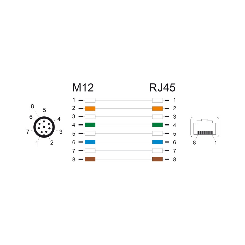 Delock M12 Adapterkabel A-kodiert 8 Pin Stecker zu RJ45 Buchse 50 cm