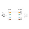 Delock M12 Adapterkabel A-kodiert 8 Pin Stecker zu RJ45 Buchse 50 cm