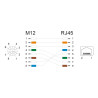 Delock M12 Adapterkabel X-kodiert 8 Pin Buchse zu RJ45 Buchse 50 cm