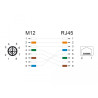 Delock M12 Adapterkabel X-kodiert 8 Pin Stecker zu RJ45 Buchse 50 cm