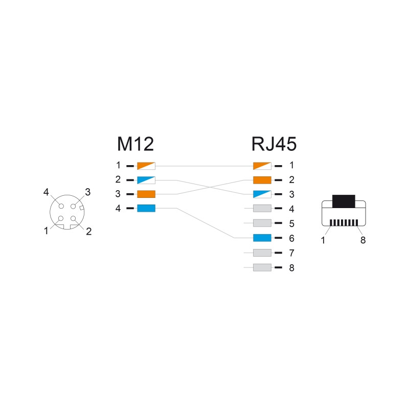 Delock M12 Adapterkabel D-kodiert 4 Pin Buchse zu RJ45 Stecker 50 cm