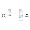 Delock M12 Adapterkabel D-kodiert 4 Pin Stecker zu RJ45 Stecker 50 cm