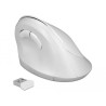 Delock Ergonomische USB Maus vertikal - kabellos