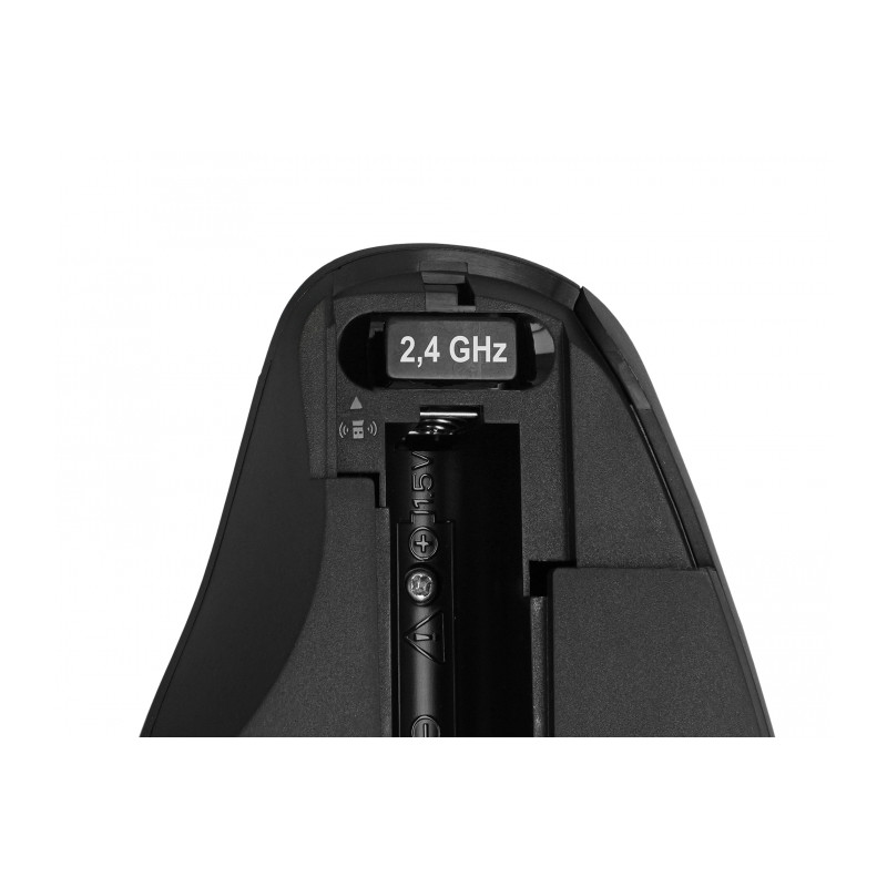 Delock Ergonomische USB Maus - kabellos