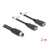 Delock M12 Kabel A-kodiert 8 Pin Buchse zu 2 x USB 2.0 Typ-A Buchse 2 m schwarz