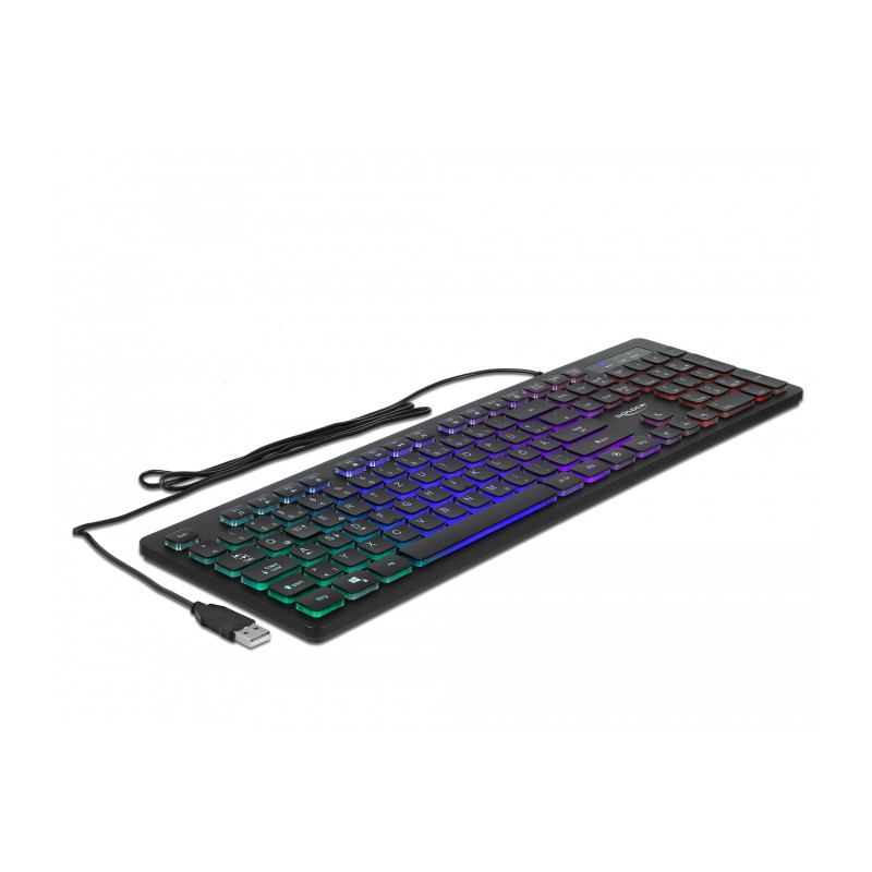 Delock USB Tastatur kabelgebunden 1,5 m schwarz mit RGB Beleuchtung
