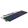 Delock USB Tastatur kabelgebunden 1,5 m schwarz mit RGB Beleuchtung