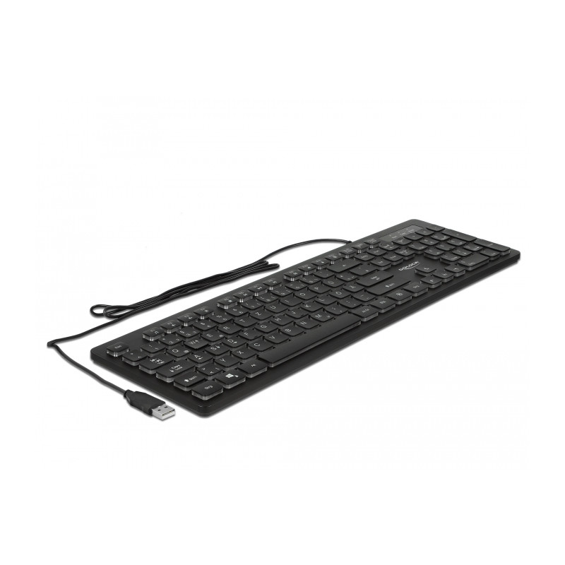 Delock USB Tastatur kabelgebunden 1,5 m schwarz mit RGB Beleuchtung