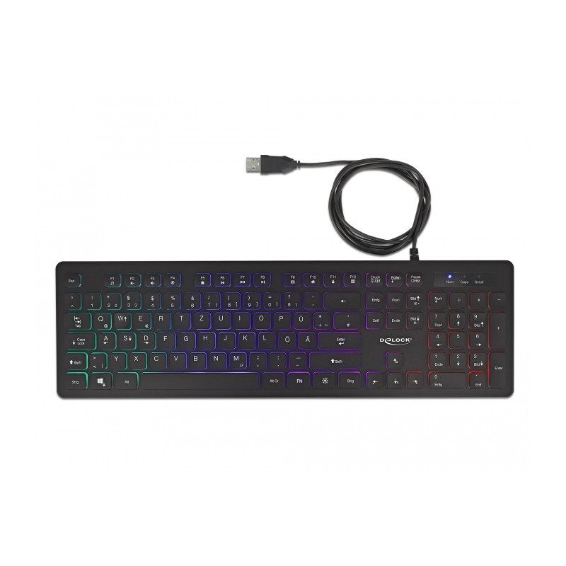Delock USB Tastatur kabelgebunden 1,5 m schwarz mit RGB Beleuchtung