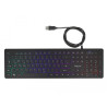 Delock USB Tastatur kabelgebunden 1,5 m schwarz mit RGB Beleuchtung