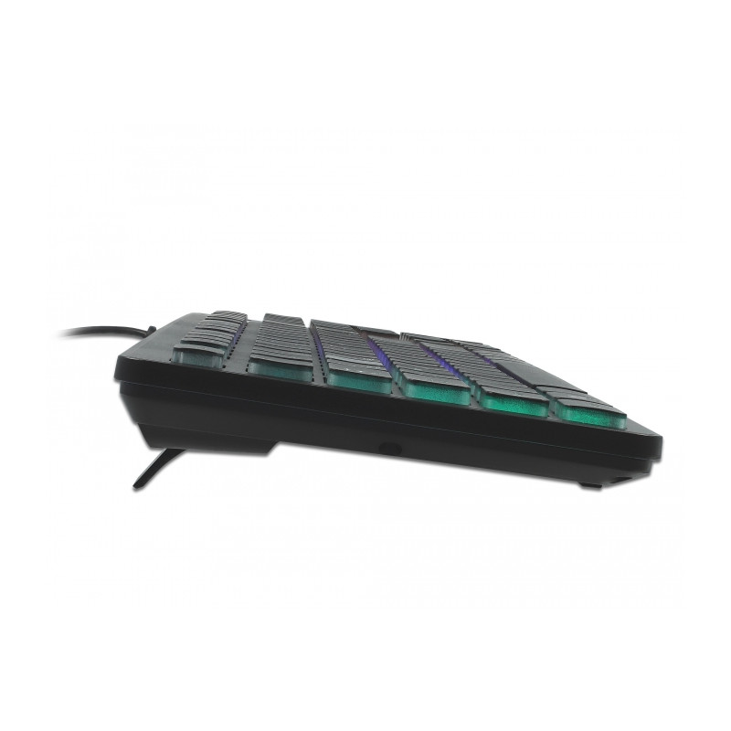 Delock USB Tastatur kabelgebunden 1,5 m schwarz mit RGB Beleuchtung