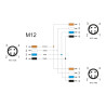 Delock M12 T-Splitter A-kodiert 4 Pin 1 x Stecker zu 2 x Stecker Parallelschaltung