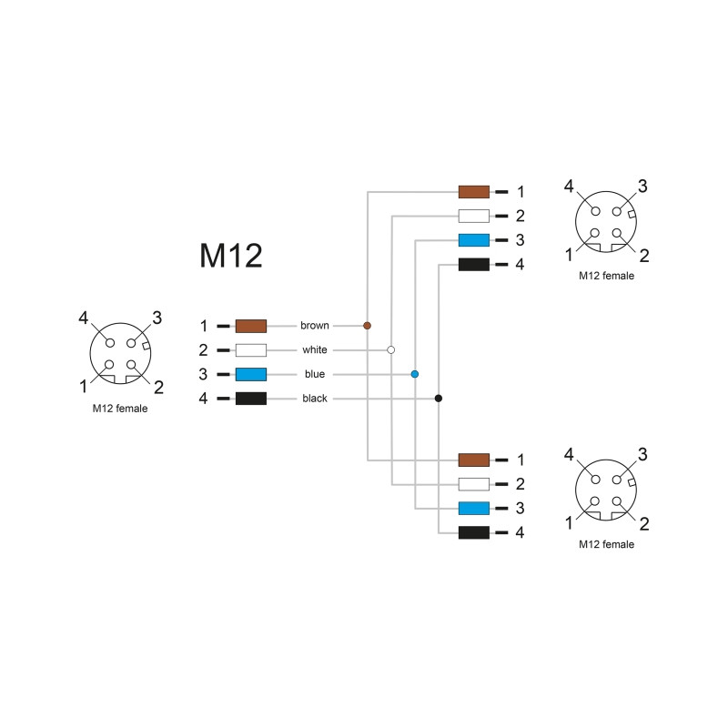 Delock M12 T-Splitter A-kodiert 4 Pin 1 x Buchse zu 2 x Buchse Parallelschaltung