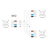 Delock M12 T-Splitter A-kodiert 4 Pin 1 x Buchse zu 2 x Buchse Parallelschaltung