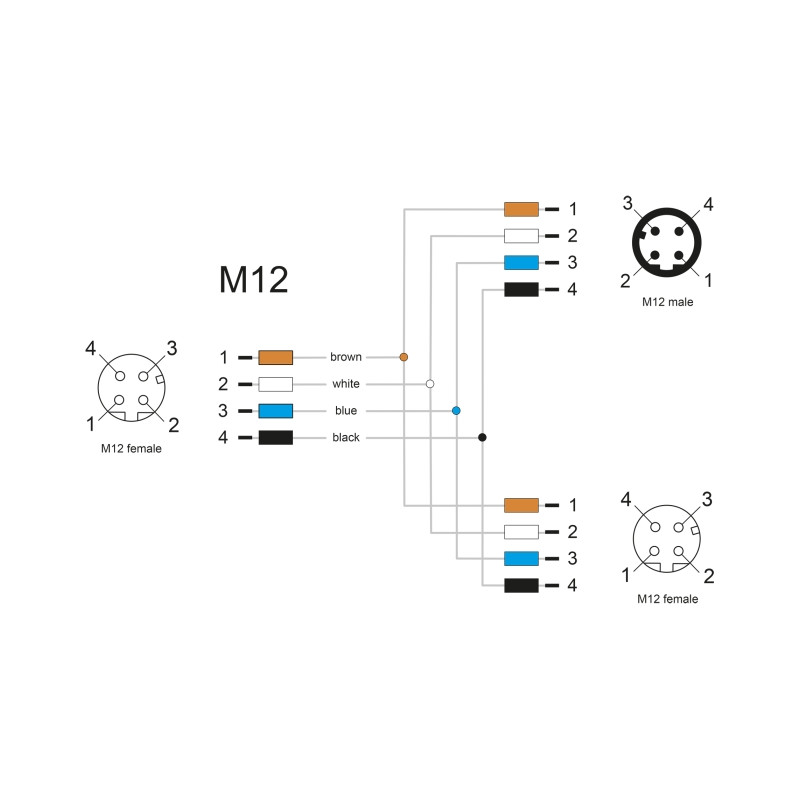 Delock M12 Y-Splitter A-kodiert 4 Pin 1 x Buchse zu 1 x Stecker und 1 x Buchse Parallelschaltung