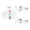 Delock M12 Kabel A-kodiert 8 Pin Buchse zu 2 x USB 2.0 Typ-A Buchse 3 m schwarz