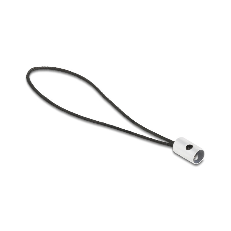 Delock Adapter USB 2.0 Type-C™ Stecker zu Lightning™ Buchse PD 3.0