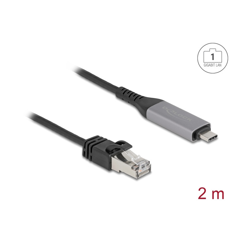 Delock USB LAN Kabel USB Type-C™ zu RJ45 Gigabit Ethernet 2 m
