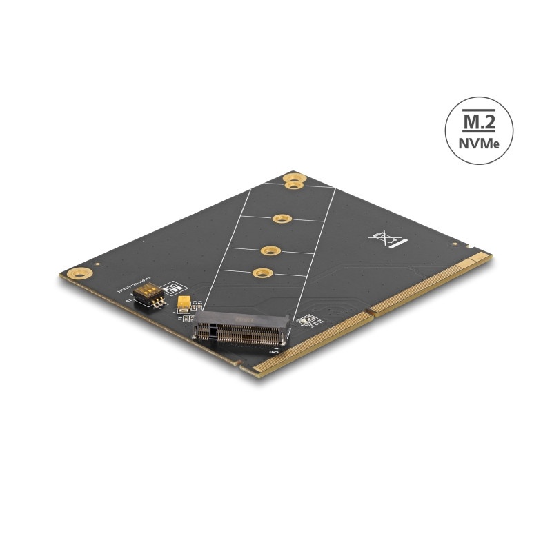 Delock Konverter MXM zu M.2 NVMe Key M Slot