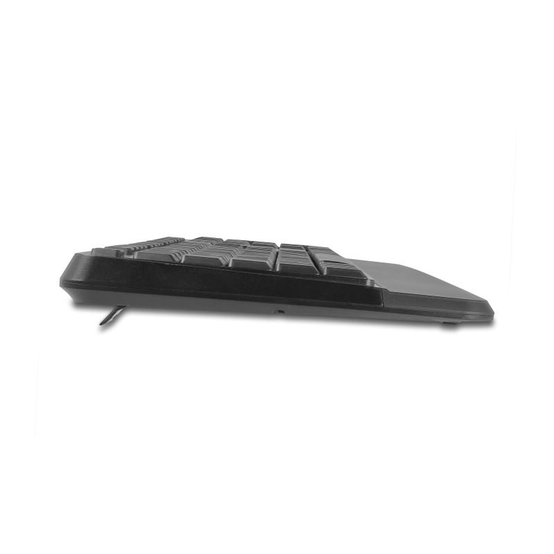 Delock USB Tastatur und Maus Set 2,4 GHz kabellos schwarz (Handballenauflage)