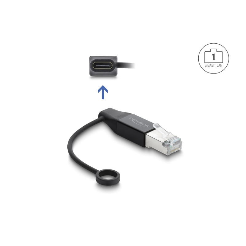 Delock USB Type-C™ Netzwerk Adapter Gigabit LAN 1 x RJ45 Stecker