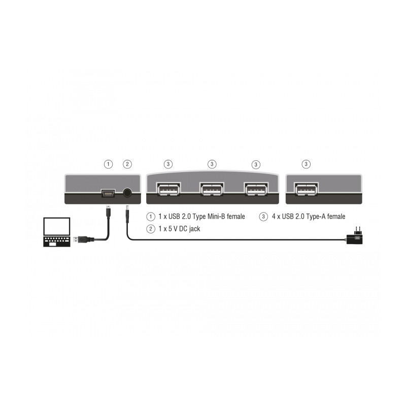Delock USB 2.0 Externer Hub 4 Port