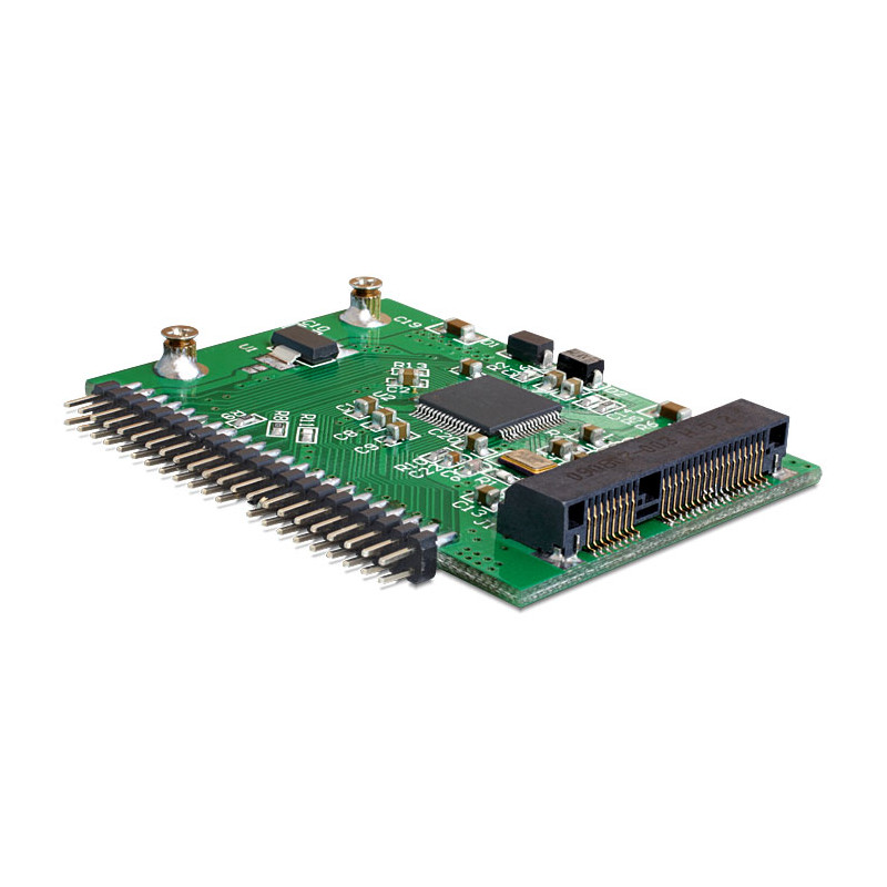 Delock Konverter mSATA SSD - IDE 44 Pin
