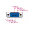 Delock Isolator RS-232 D-Sub 9 Buchse zu RS-232 D-Sub 9 Stecker galvanische Trennung 3 kV