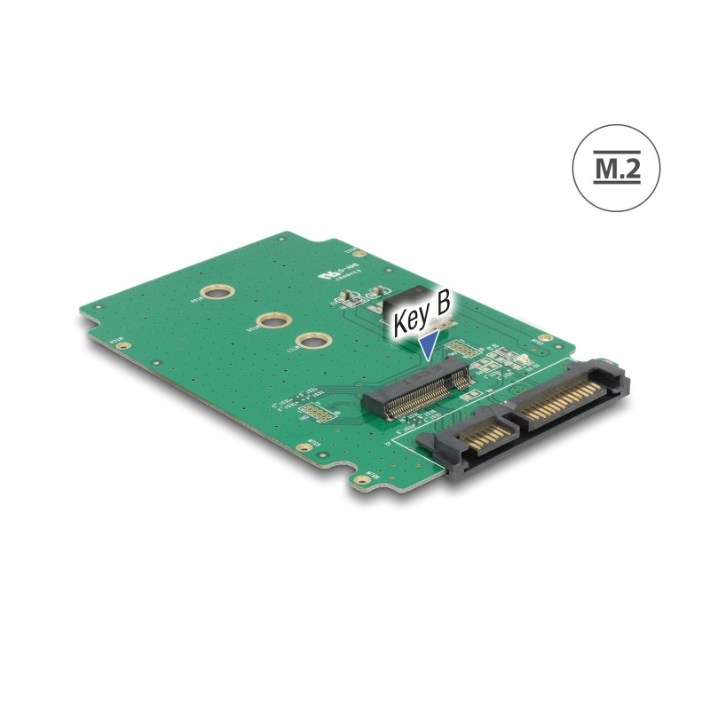 Delock Konverter SATA 22 Pin - M.2