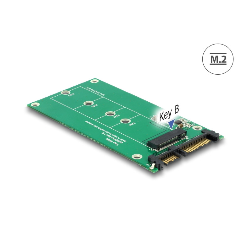 Delock Konverter SATA 22 Pin - M.2