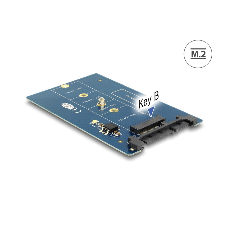 Delock Konverter SATA 22 Pin - M.2