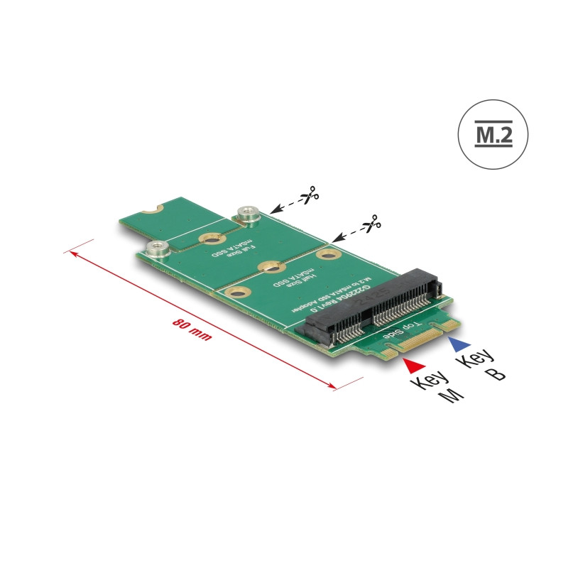 Delock Adapter M.2 - mSATA