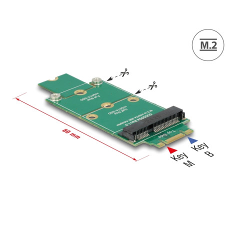 Delock Adapter M.2 - mSATA