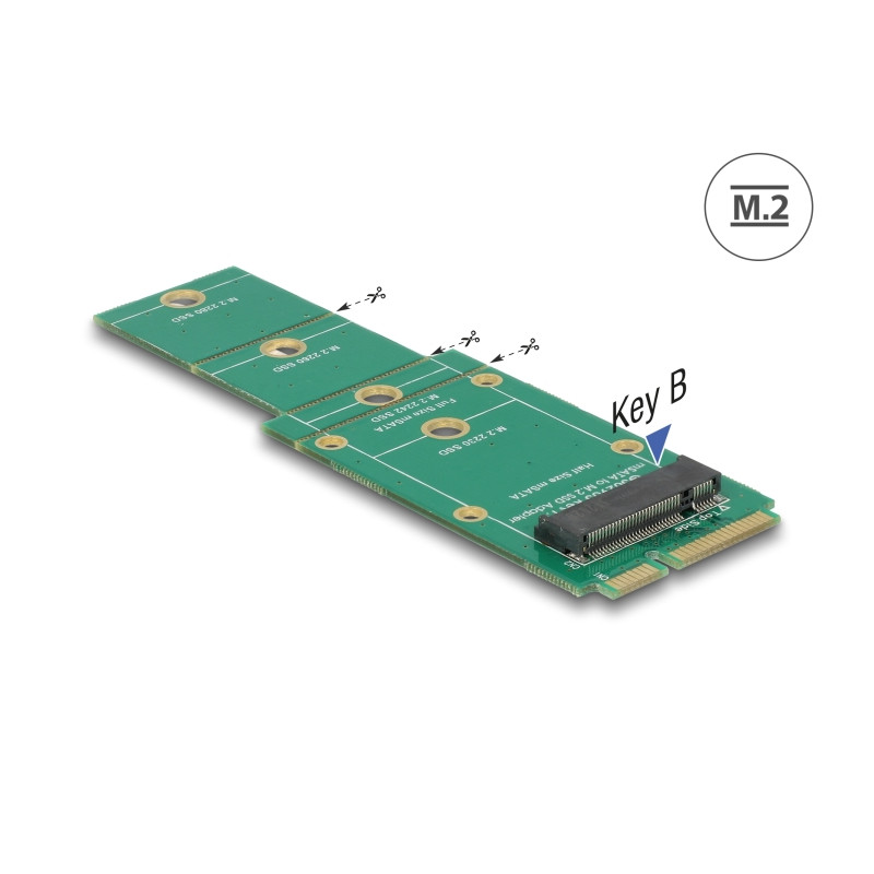 Delock Adapter mSATA - M.2 Key B Slot