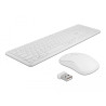 Delock USB Tastatur und Maus Set 2,4 GHz kabellos weiß
