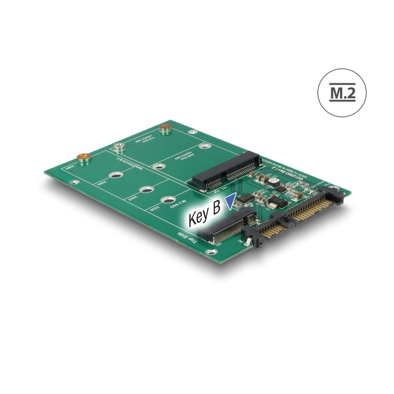 Delock Konverter SATA 22 Pin - 1 x M.2 + 1 x mSATA