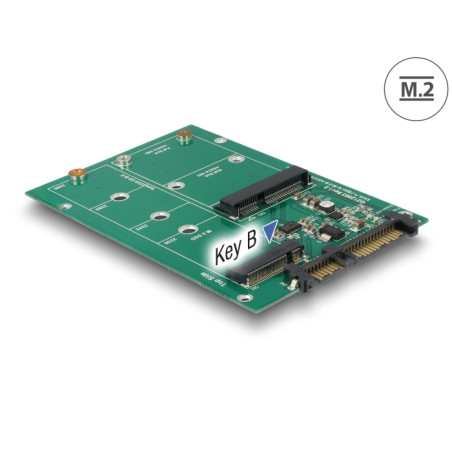 Delock Konverter SATA 22 Pin - 1 x M.2 + 1 x mSATA