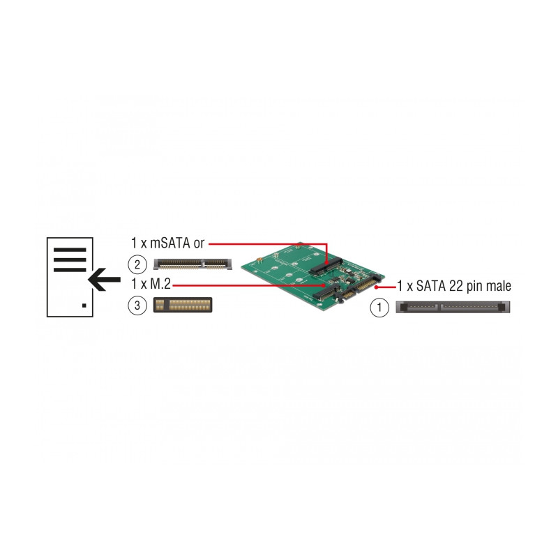 Delock Konverter SATA 22 Pin - 1 x M.2 + 1 x mSATA