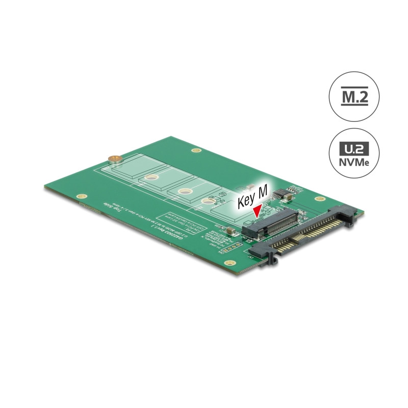 Delock Konverter U.2 SFF-8639 - M.2 NVMe Key M