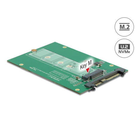 Delock Konverter U.2 SFF-8639 - M.2 NVMe Key M