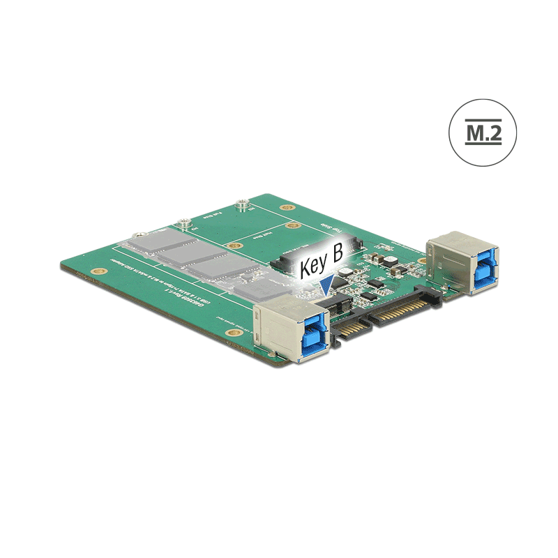 Delock Konverter SATA / USB 3.1 Typ-B Buchse - M.2 / mSATA Slot