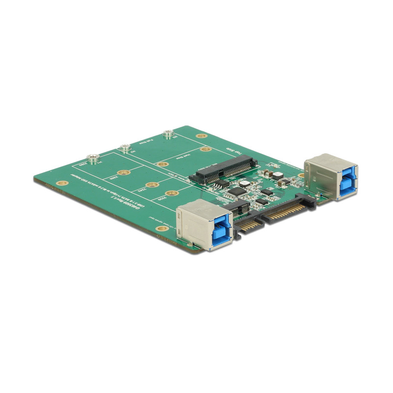 Delock Konverter SATA / USB 3.1 Typ-B Buchse - M.2 / mSATA Slot