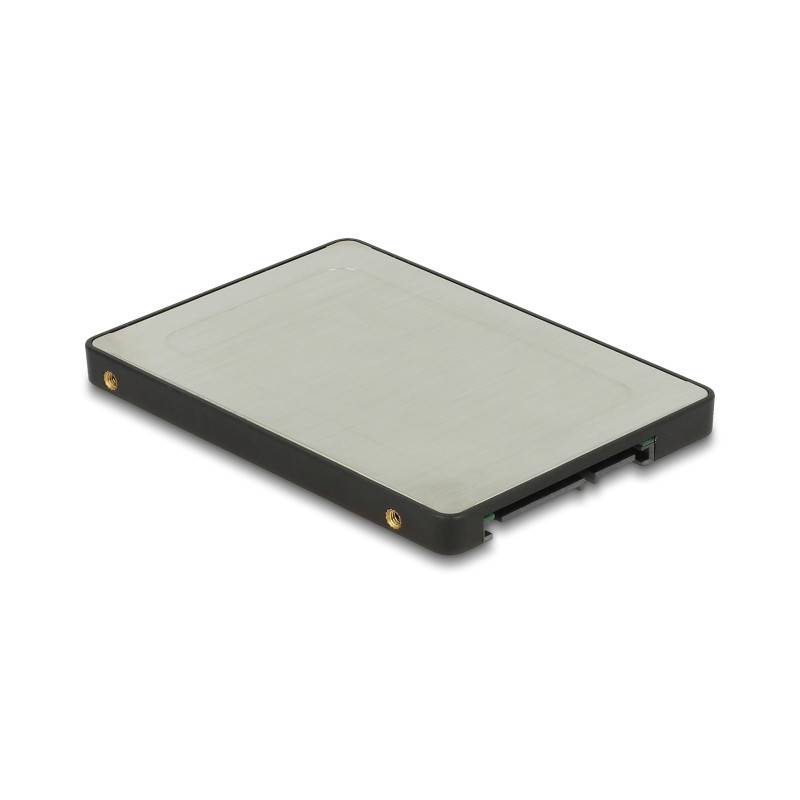 Delock 2.5″ Konverter SATA 22 Pin - M.2 mit Gehäuse