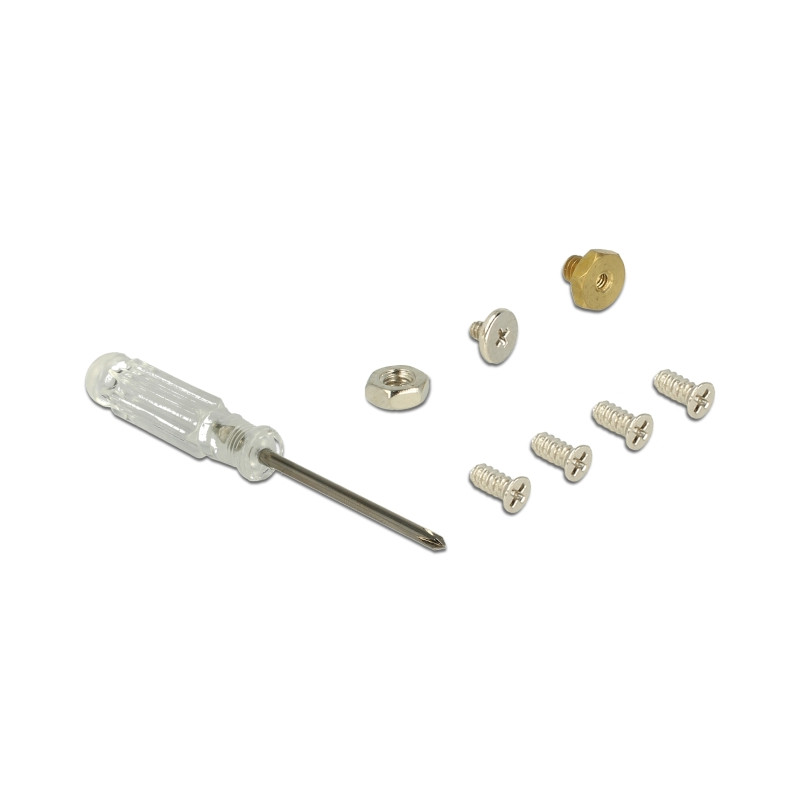 Delock 2.5″ Konverter SATA 22 Pin - M.2 mit Gehäuse