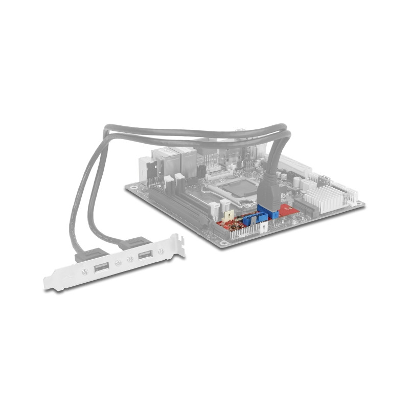 Delock Konverter M.2 Key B+M Stecker zu 2 x USB 5 Gbps Pfostenstecker