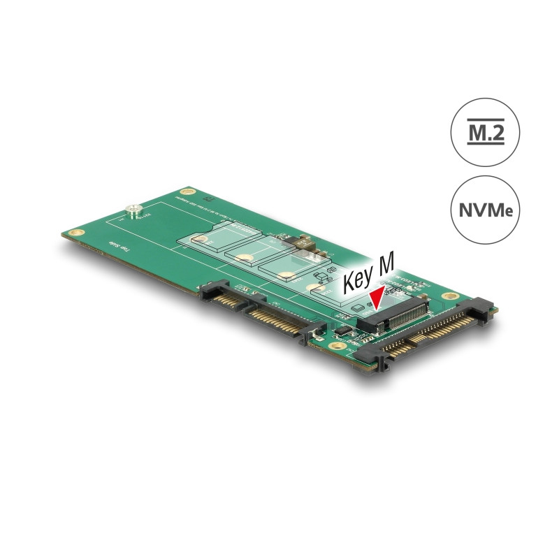 Delock Konverter U.2 SFF-8639 NVMe / SATA 22 Pin - 1 x M.2 Key M