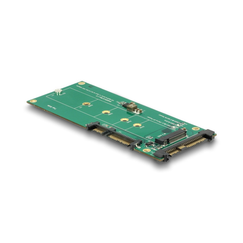 Delock Konverter U.2 SFF-8639 NVMe / SATA 22 Pin - 1 x M.2 Key M