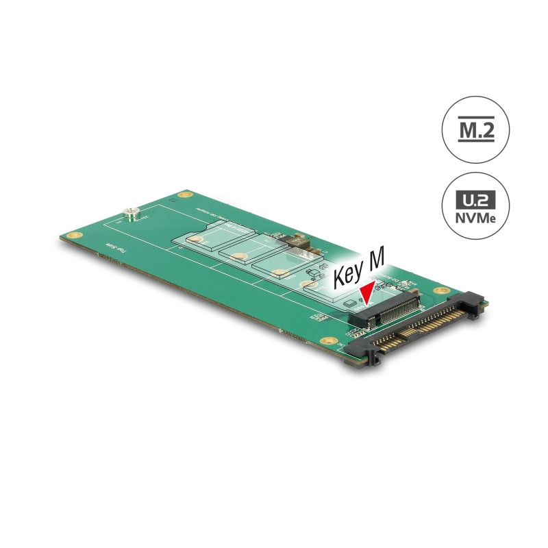 Delock Konverter U.2 SFF-8639 NVMe - 1 x M.2 Key M